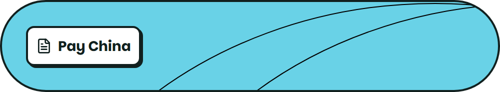 The compact Pay China entry in the widget header